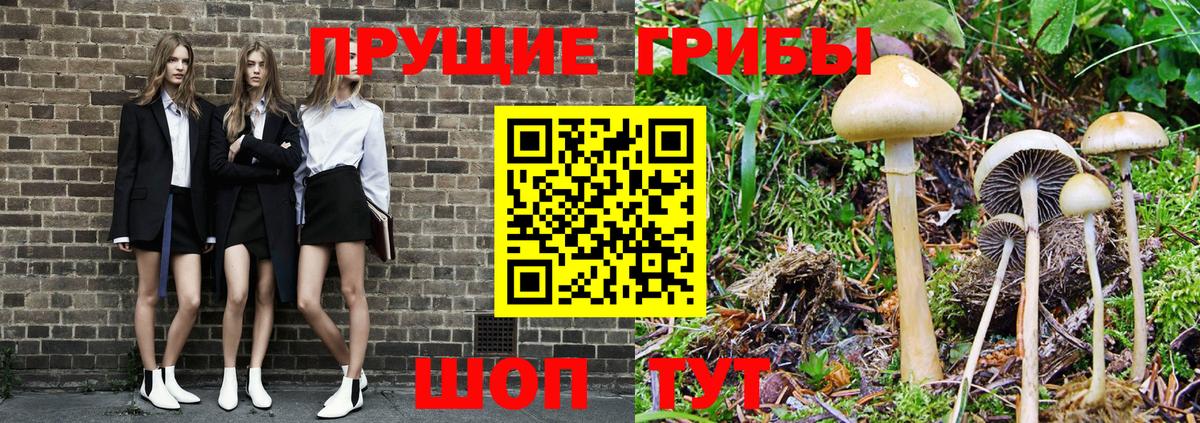 Воскресенск  Галлюциногенные грибы мицелий  Вход с VPN  Галлюциногенные грибы Psilocybine cubensis 